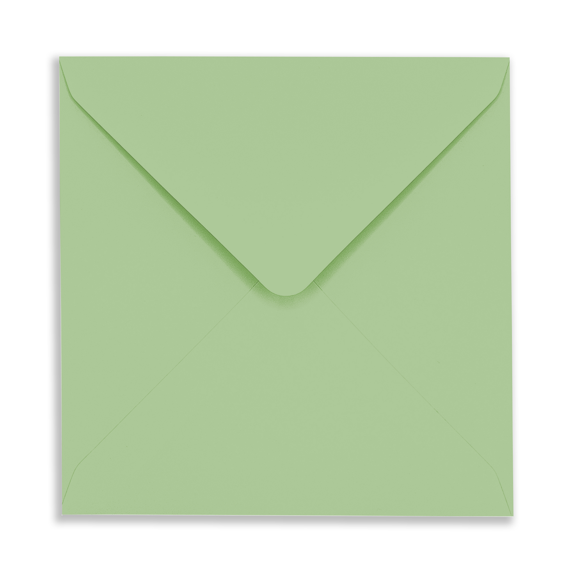 SQ-bay-green_Envelope_Flap