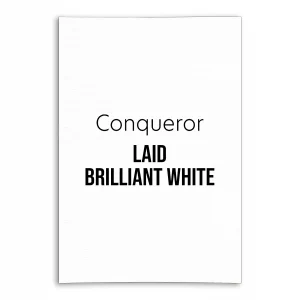 conqueror brilliant white laid v3