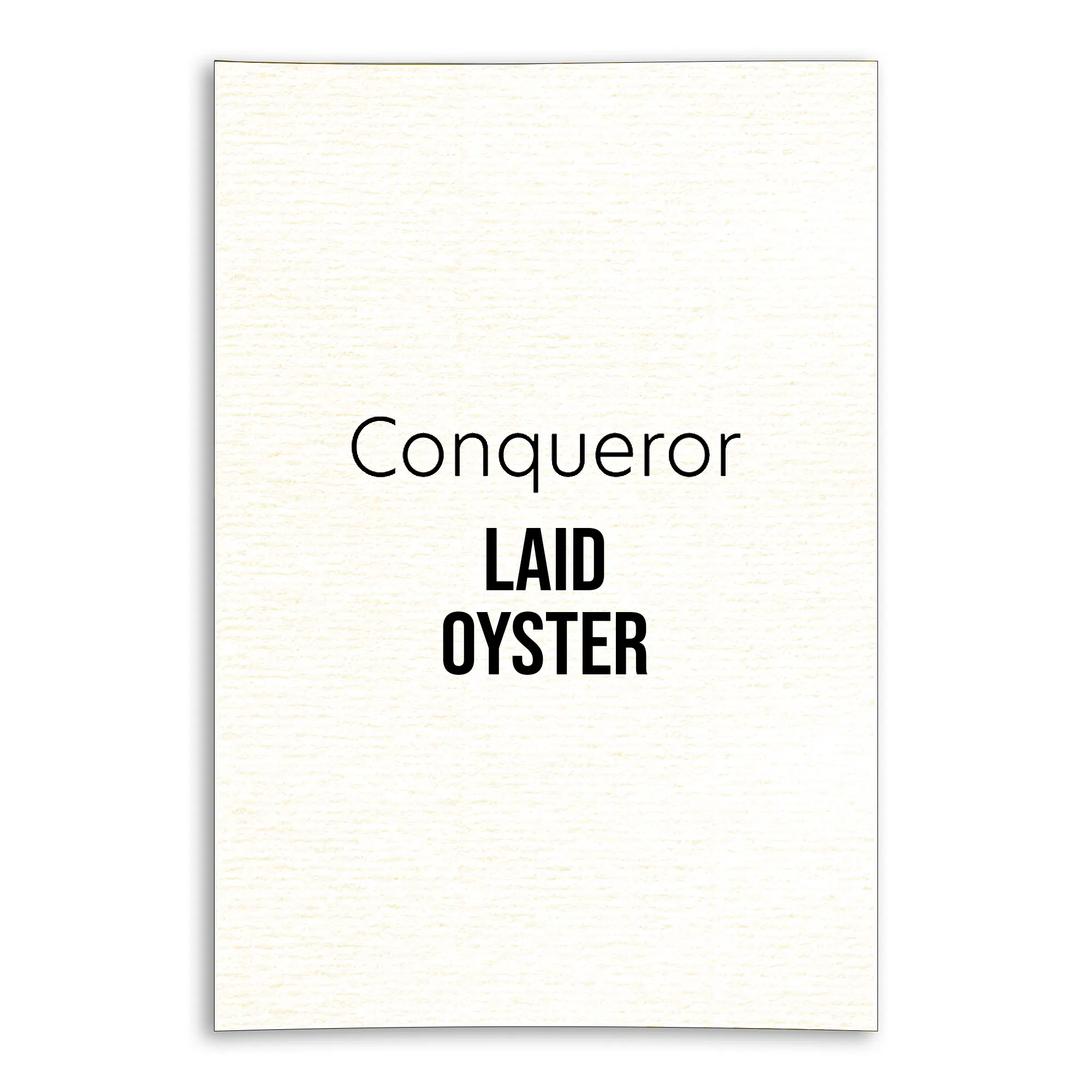 conqueror-oyster-laid