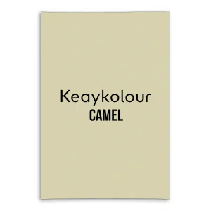 keaykolour card camel