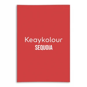 keaykolour card chili pepper